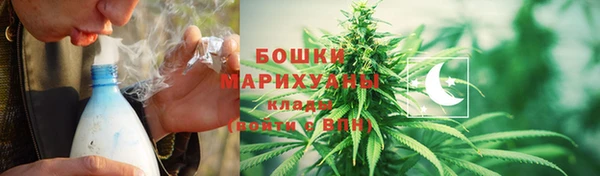 сатива Богородицк