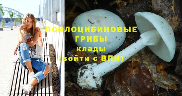 Альфа ПВП Богданович
