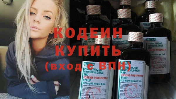 сатива Богородицк
