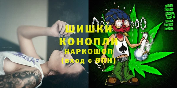 сатива Богородицк