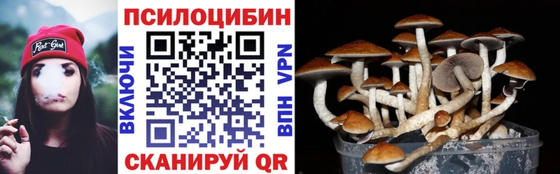 Галлюциногенные грибы Psilocybe  Купить закладки  Нюрба 